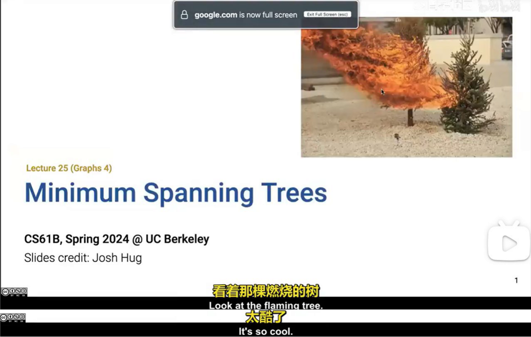 Flaming tree (lec25 29:22)